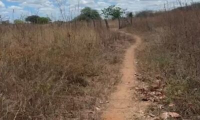 Corpos de adolescentes desaparecidos são encontrados em cova rasa no bairro Boa Vista, em Mossoró