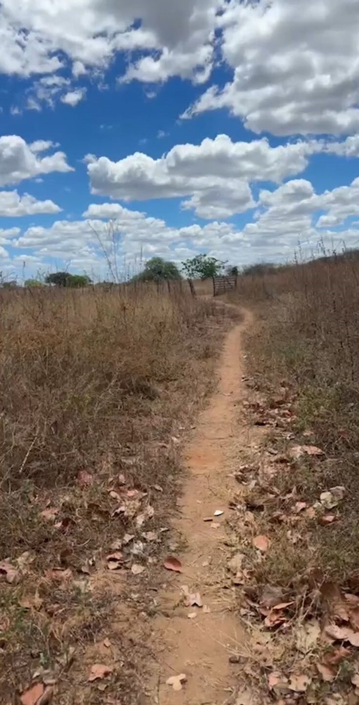 Corpos de adolescentes desaparecidos são encontrados em cova rasa no bairro Boa Vista, em Mossoró