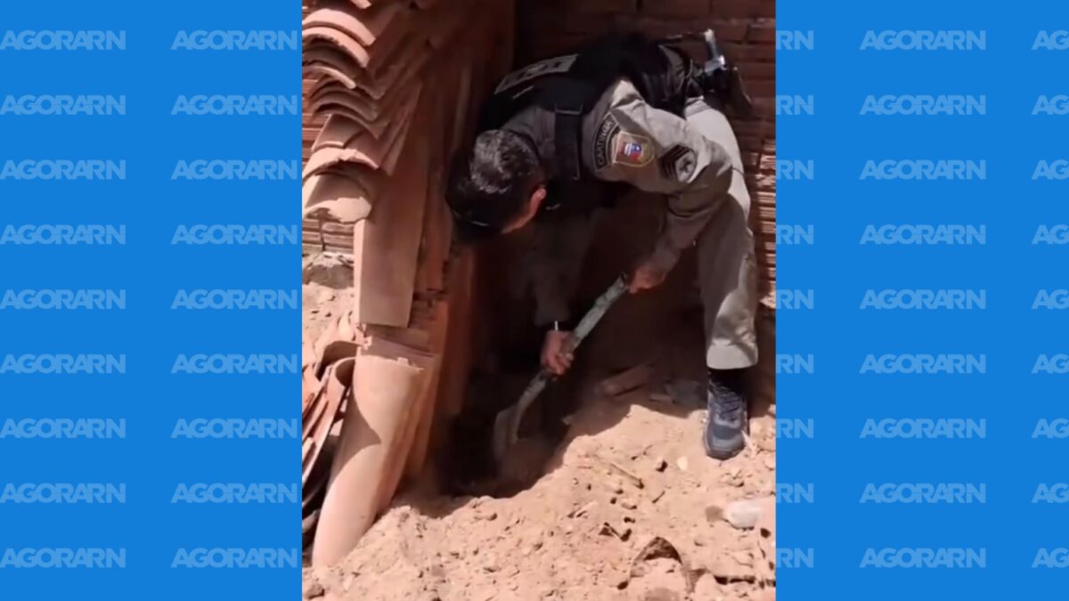 Argolas furtadas de túmulos são encontradas enterradas em residência no RN