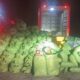 FICCO Mossoró participa de operação que apreendeu meia tonelada de maconha na Paraíba