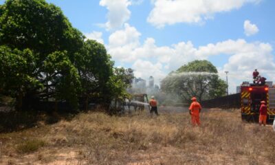 Incêndio atinge área de vegetação na UFRN, em Natal