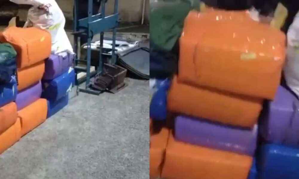 Polícia apreende cerca de 300 kg de drogas e prensa hidráulica na Grande Natal